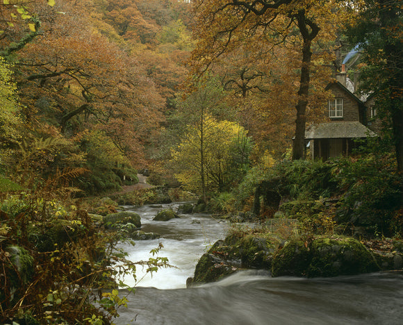 A glimpse of the House at Watersmeet, sitting beside the streams of East Lyn and Hoar Oak Water at their confluence