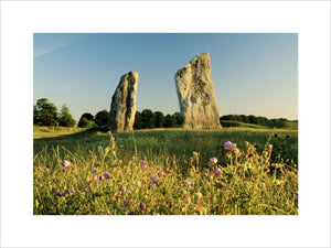 Avebury: Two large standing stones with wild flowers in fore- ground