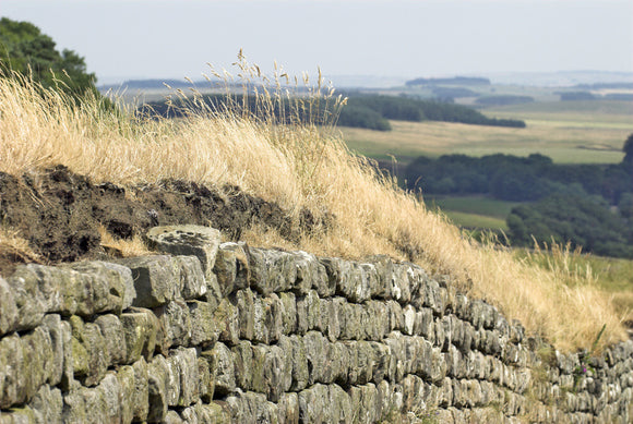 Housesteads Fort (Vercovicium), one of the sixteen permanent bases on Hadrian's Wall, Northumberland, photographed during the July 2006 heatwave
