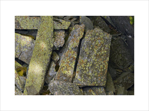 Lichen on rocks in the old quarry near the summit of Castle Crag, Cumbria