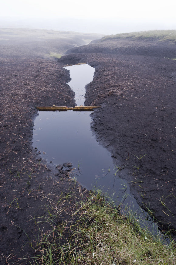 Damming gullies in the blanket peat on the High Peak Estate, in the Peak District National Park, Derbyshire