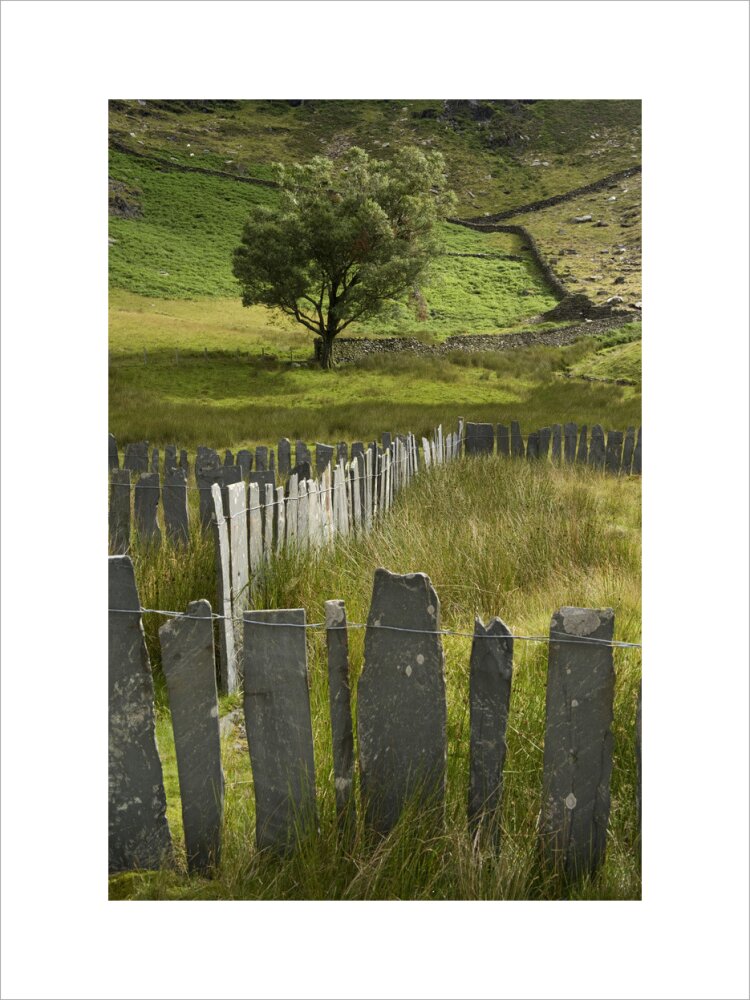 Traditional slate fence at Cwm Llan on Hafod Y Llan farm, Snowdonia, W ...