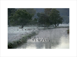 A frosty winter scene at the River Wey Navigations, Surrey