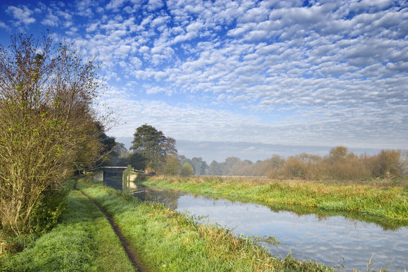 The towpath alongside the River Wey Navigations, with a lock in the distance, near Guildford, Surrey