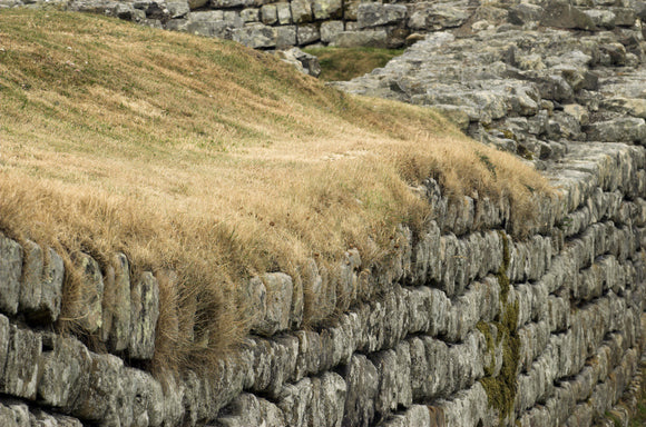Close view of the stones at Housesteads Fort (Vercovicium), one of the sixteen permanent bases on Hadrian's Wall, Northumberland, photographed during the July 2006 heatwave