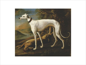 GREYHOUND AND DEAD HARE, 1731 painted by William Sartorius