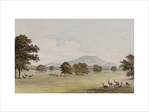 THE APPROACH FROM THE WEST, plate VIII, from Repton's Red Book at Attingham Park
