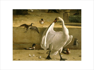 Detail from one of Hondecoeter's bird paintings at Belton House showing a beautiful swan and some ducks