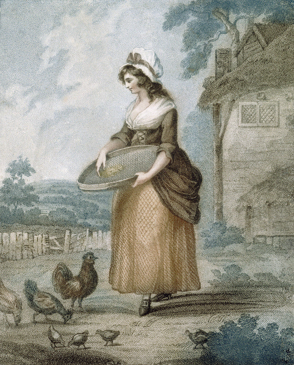 WOMAN FEEDING CHICKENS situated at Polesden Lacey