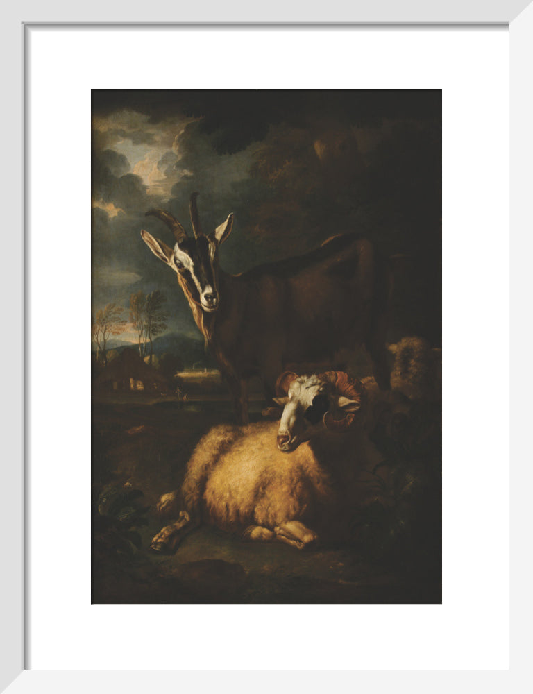 Two Rams, a Sheep and a Goat – National Trust Prints