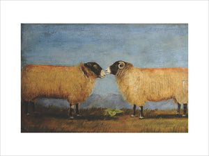 A Swaledale Sheep and Ram in profile