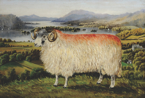 Swaledale Ram from Troutbeck looking south down Lake Windermere