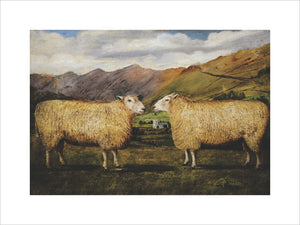 Two Sheep in profile, face to face, in a Lakeland Landscape...