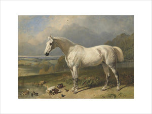 A Grey Horse and Ducks in a Landscape
