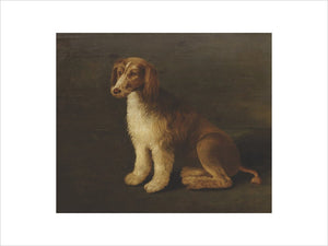 'Bungay', the Favourite Dog of Sir John Harington (1561-1612)