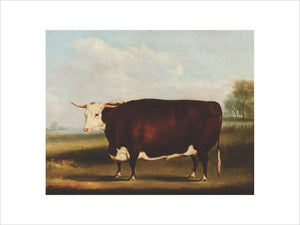 Prize Bull: 1853