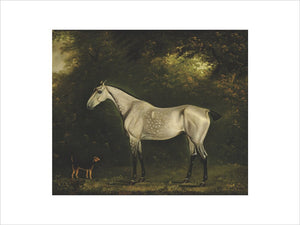 A Dappled Grey Hunter with a Terrier amongst the Trees