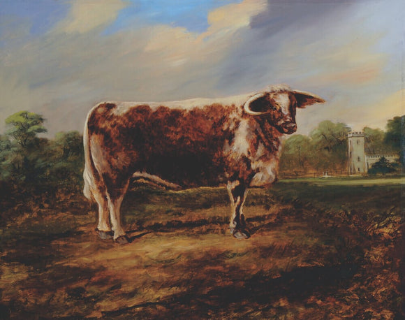 A Prize Bull in front of Calke Church