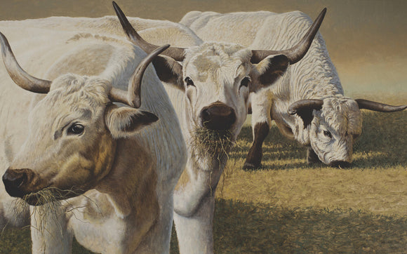 White Cows and Deer