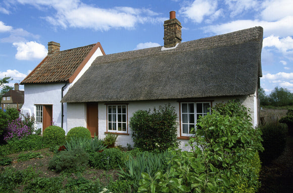 A view of Wicken Fen cottage and garden in the early summer