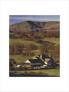 High Loanthwaite farm set amongst fields in autumn sunlight with Coniston Old Man in the background