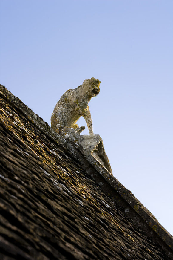 A stone monkey sits atop the West gable of the fifteenth-century Great Chalfield Manor, Wiltshire, above the priest's apartments