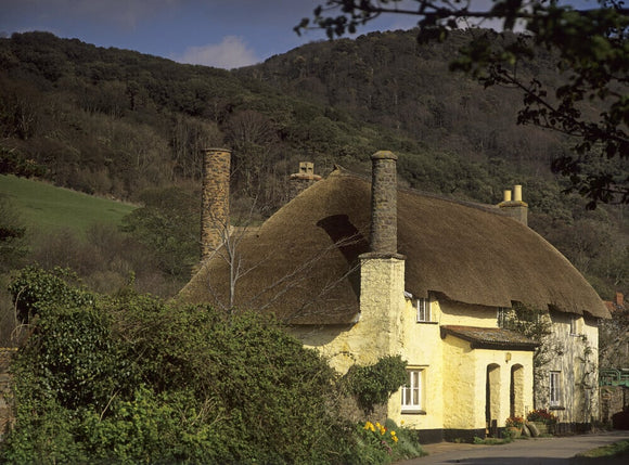 A pair of thatched and cream-washed cottage in Bossington at Holnicote