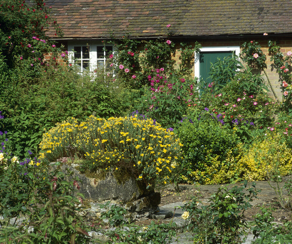 Flower garden at Owletts, near Cobham, Kent