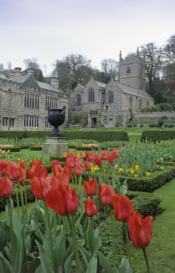 A view of the church across the garden with scarlet tulips in the foreground