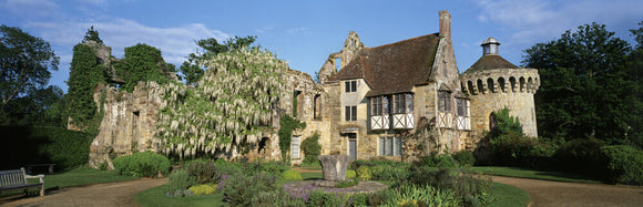 A view of Scotney Castle with a magnificent white wisteria tumbling over the wall