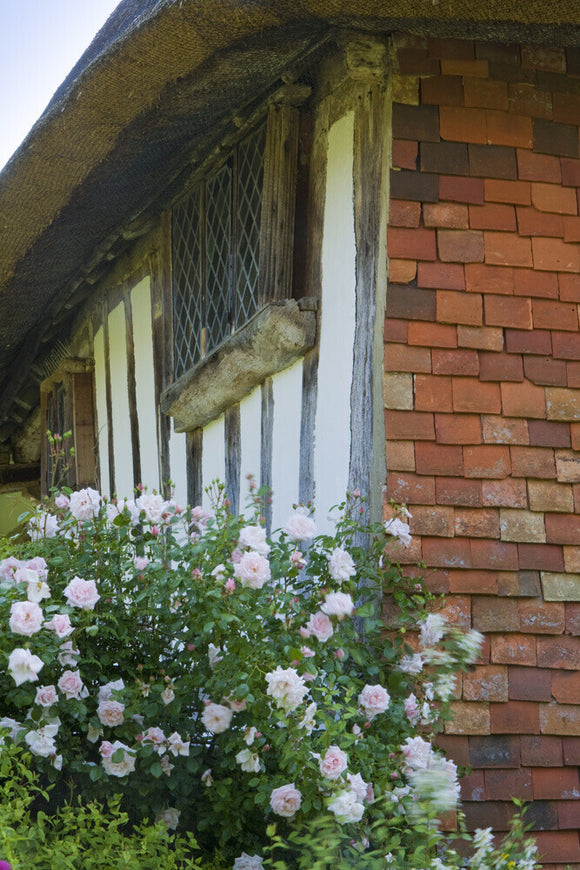 An upper window, and tile-hung corner of Alfriston Clergy House, a fourteenth-century Wealden hall house