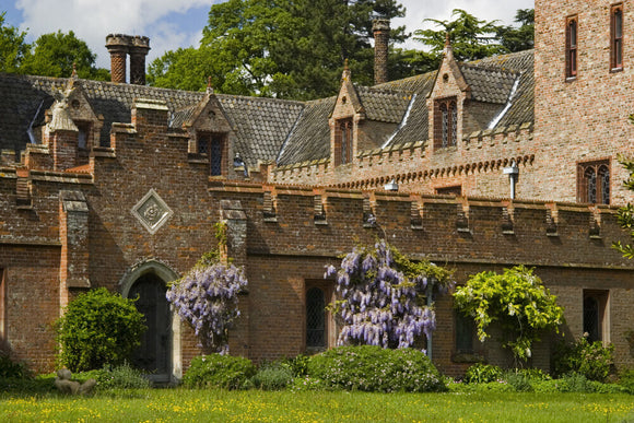 Wisteria against the south range at Oxburgh Hall, Norfolk, a fifteenth century moated manor house, home to the Bedingfeld family since 1482