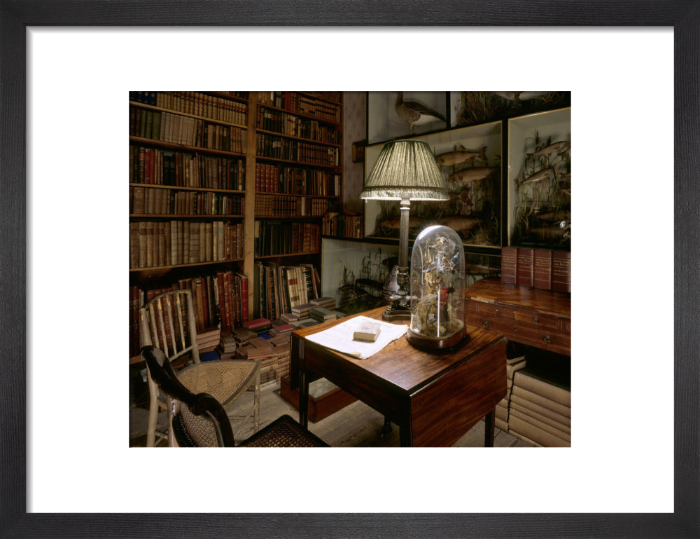 View of Gardner Wilkinson Library at Calke Abbey – National Trust Prints