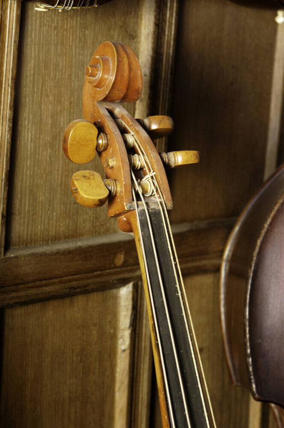 Head of a double bass, 1809-1892, part of the musical instrument colle ...