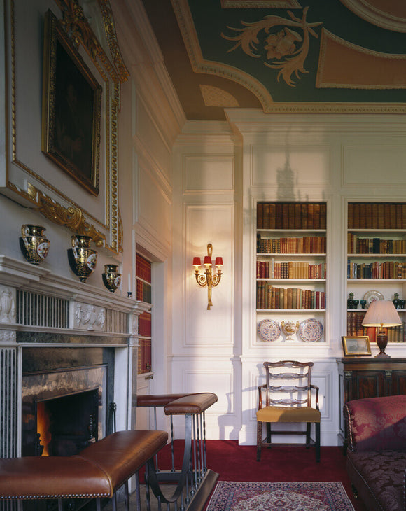 A corner of the Library with the fireplace and club fender