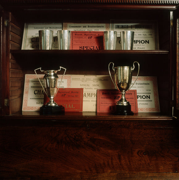 Prize cups and certificates which Beatrix won for sheep at local shows