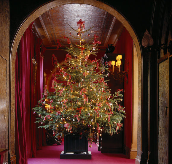 A brightly illuminated and decorated Christmas tree in a wooden plant container in an arched doorway at Waddesdon Manor