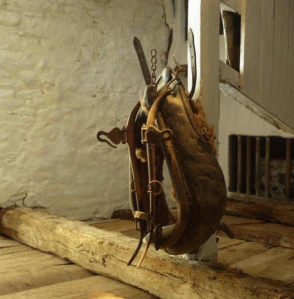 An old leather horse collar hanging in the stables at Llanerchaeron, an C18th estate near Aberaeron